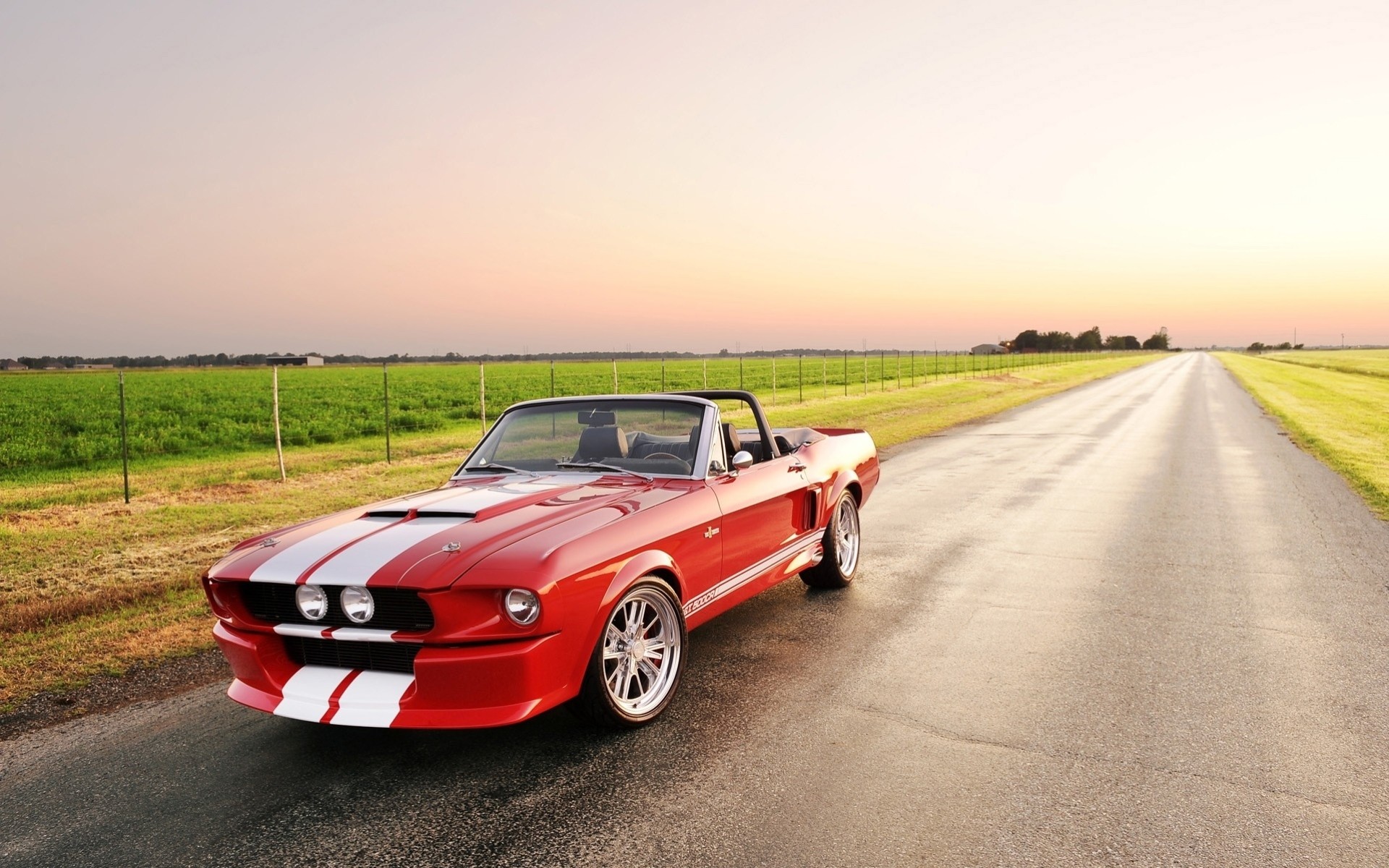 mustang auto ford räder