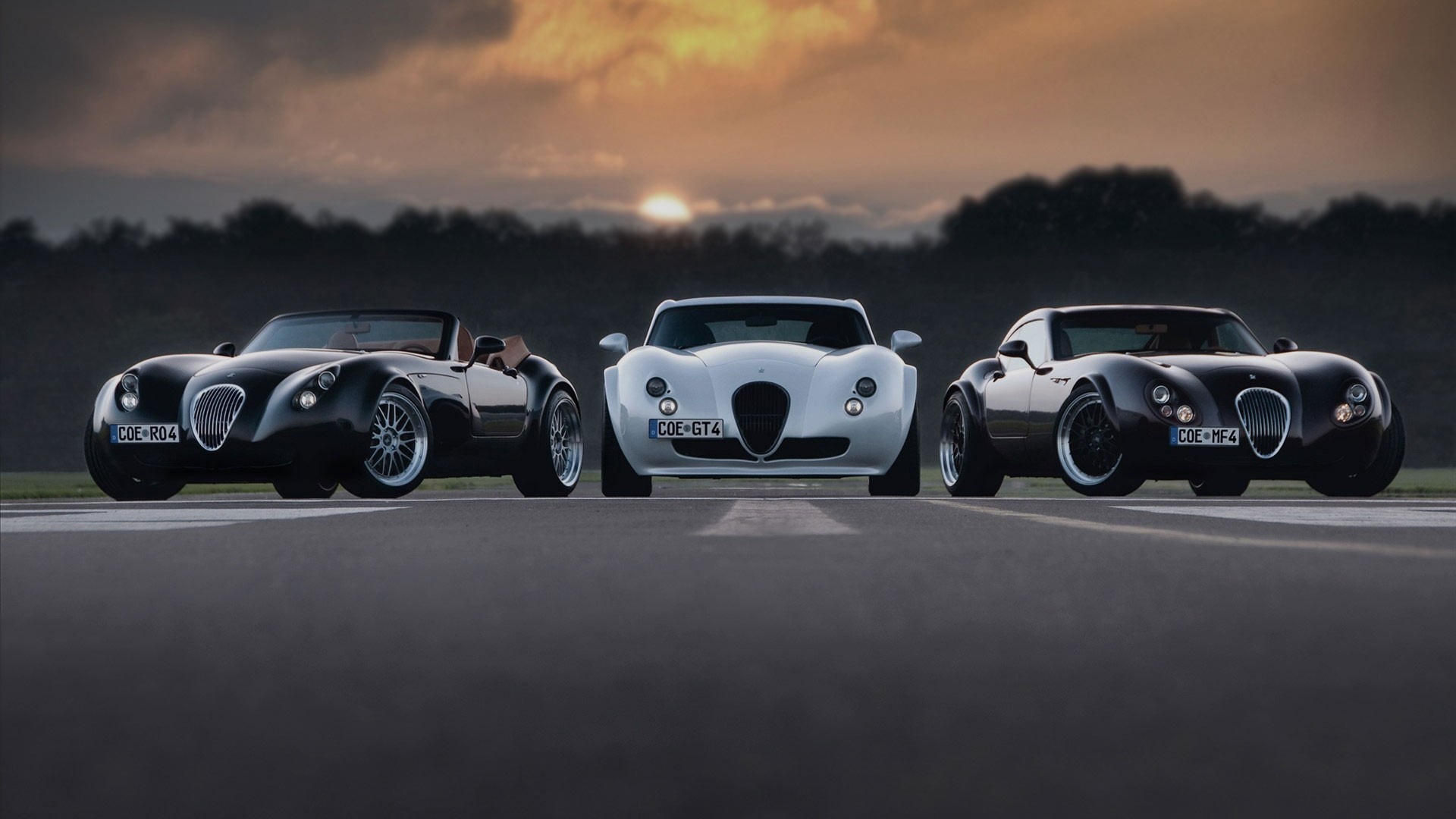 wiesman florida wiesmann