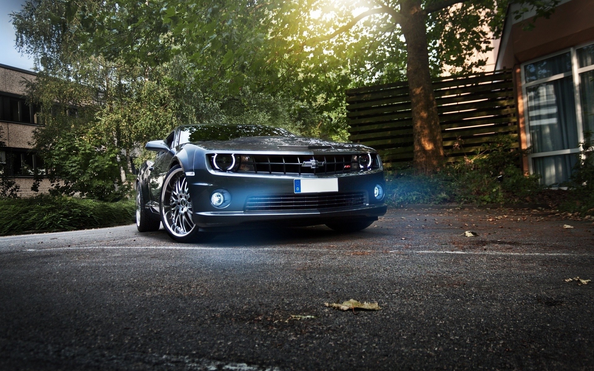 asphalt tuning bäume haus korvette camaro auto autos