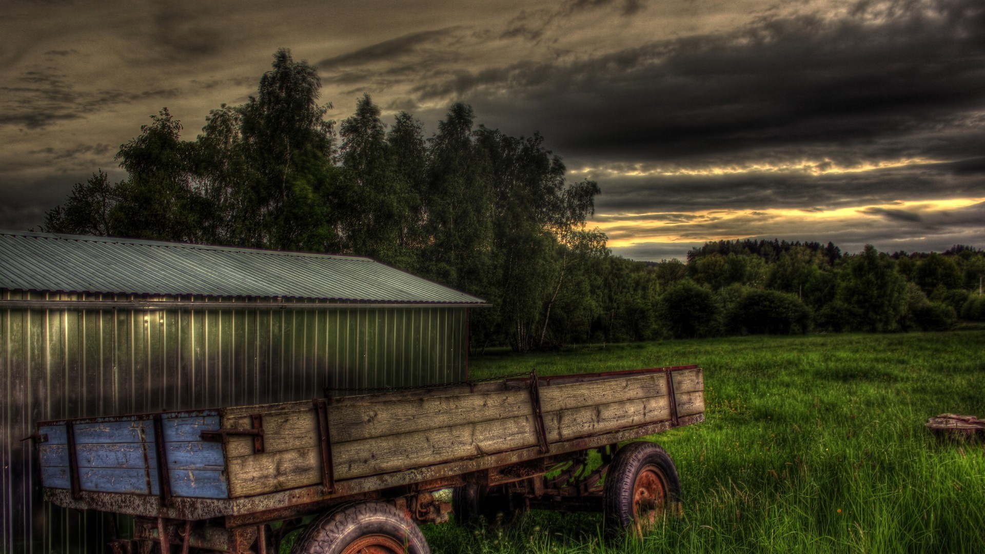 carro crepúsculo palmeras campos