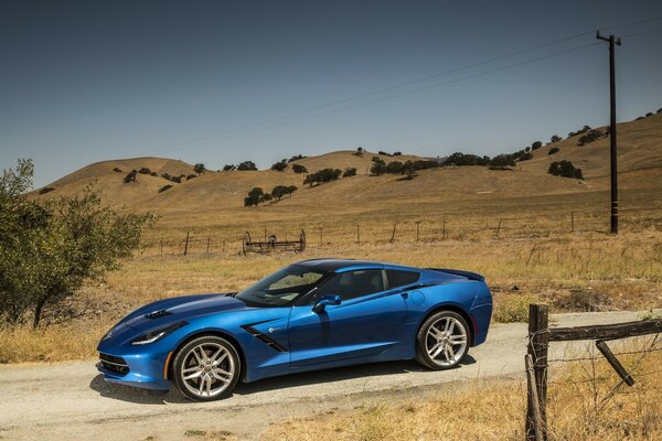 Coche azul monta en pastizales