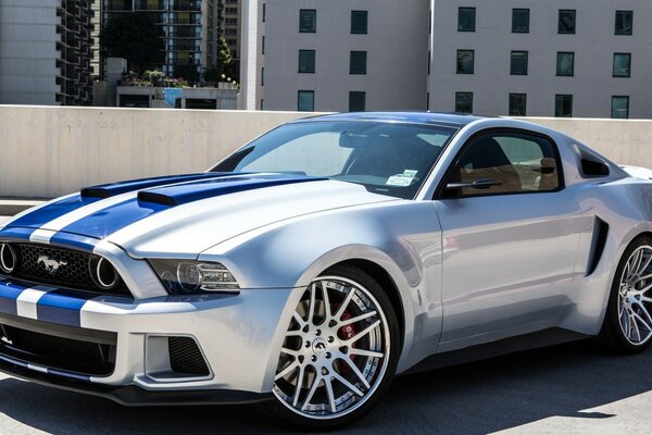 Sportlicher Mustang mit abgesenktem Glas