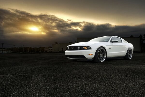 Mustang al atardecer