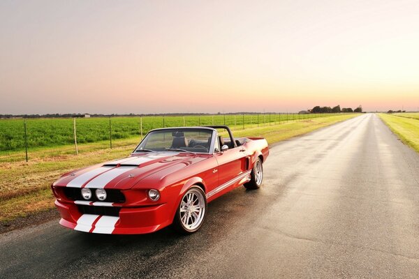 Ford Mustang; un classico dell industria automobilistica americana