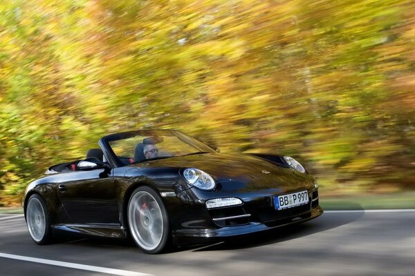 Porsche at speed, autumn, road