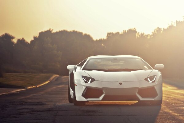 LAMBORGHINI AVENTADOR AI RAGGI DEL TRAMONTO IN PISTA