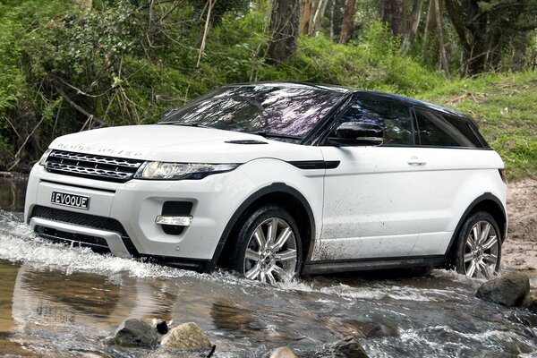 SUV rangrover coupé attraversa il fiume della foresta