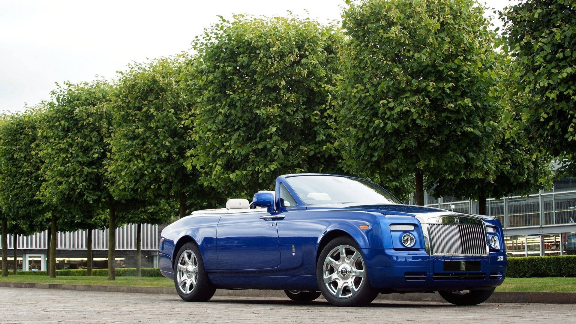 forêt voiture nature amusement rolls-royce