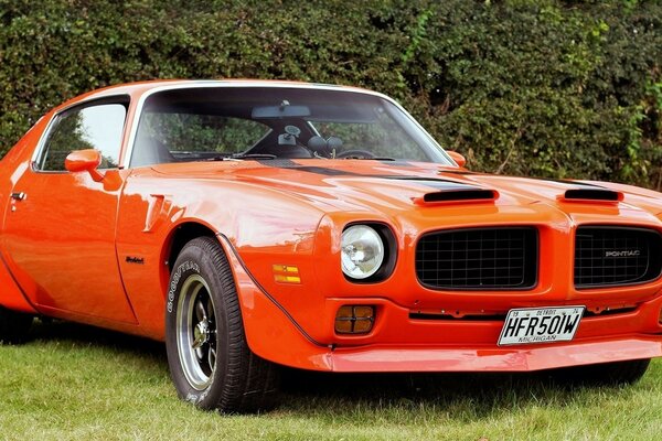 Voiture de sport rouge sur une Prairie verte