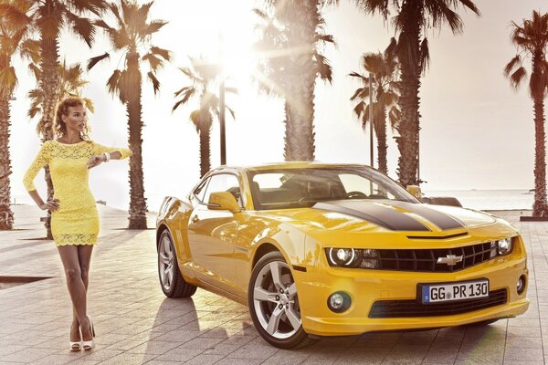 Dos coches deportivos en el fondo de la playa