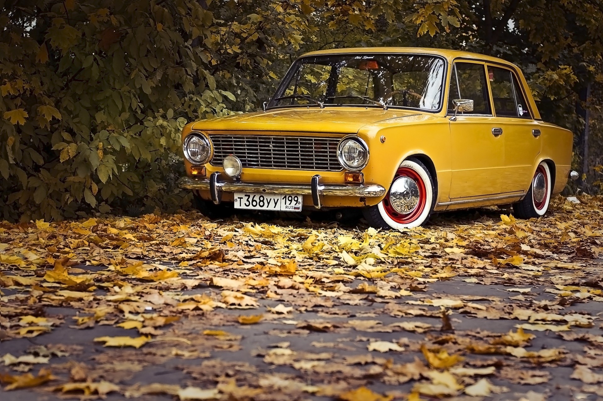 blatt klassisch retro herbst auto vasen lada