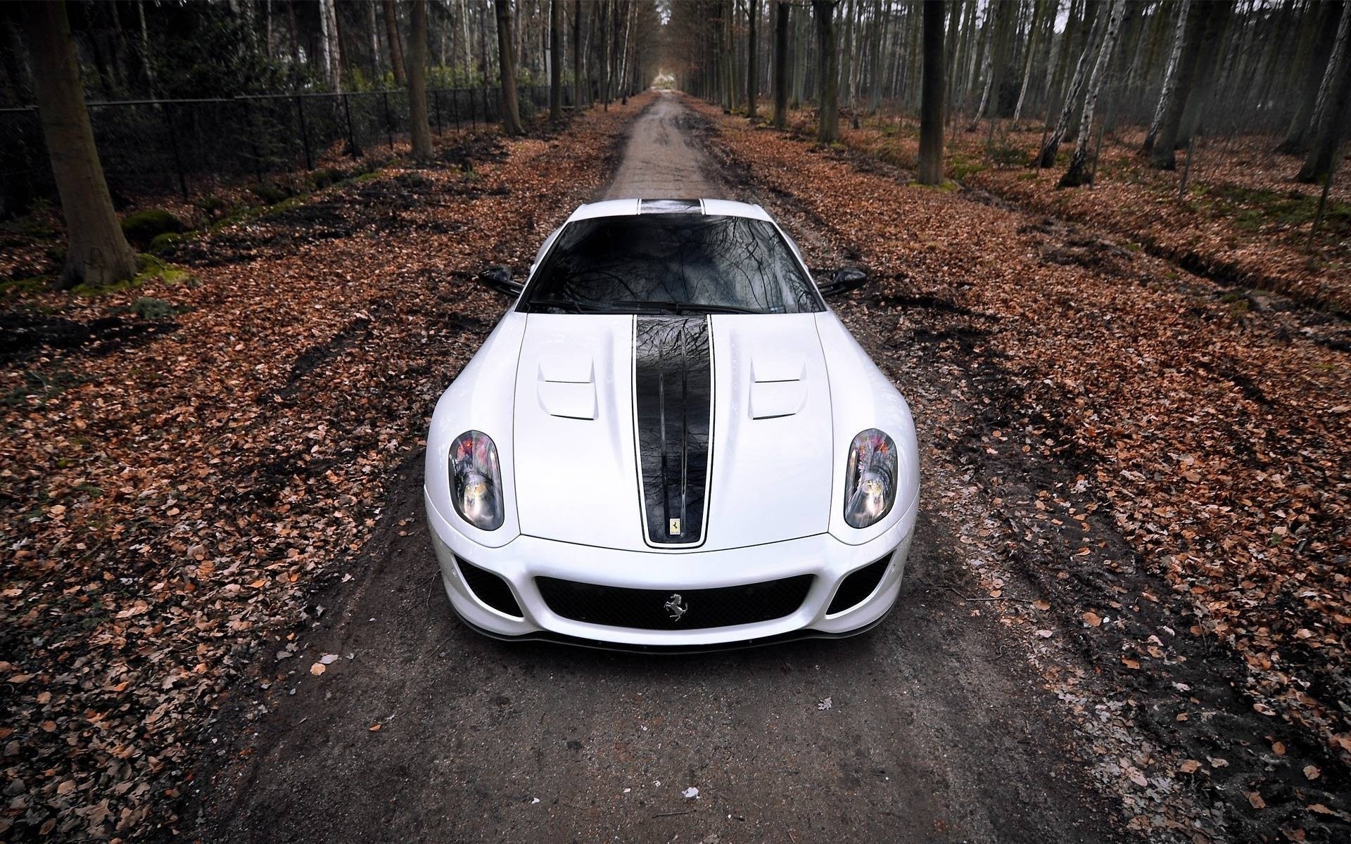 bosque coche diversión ferrari