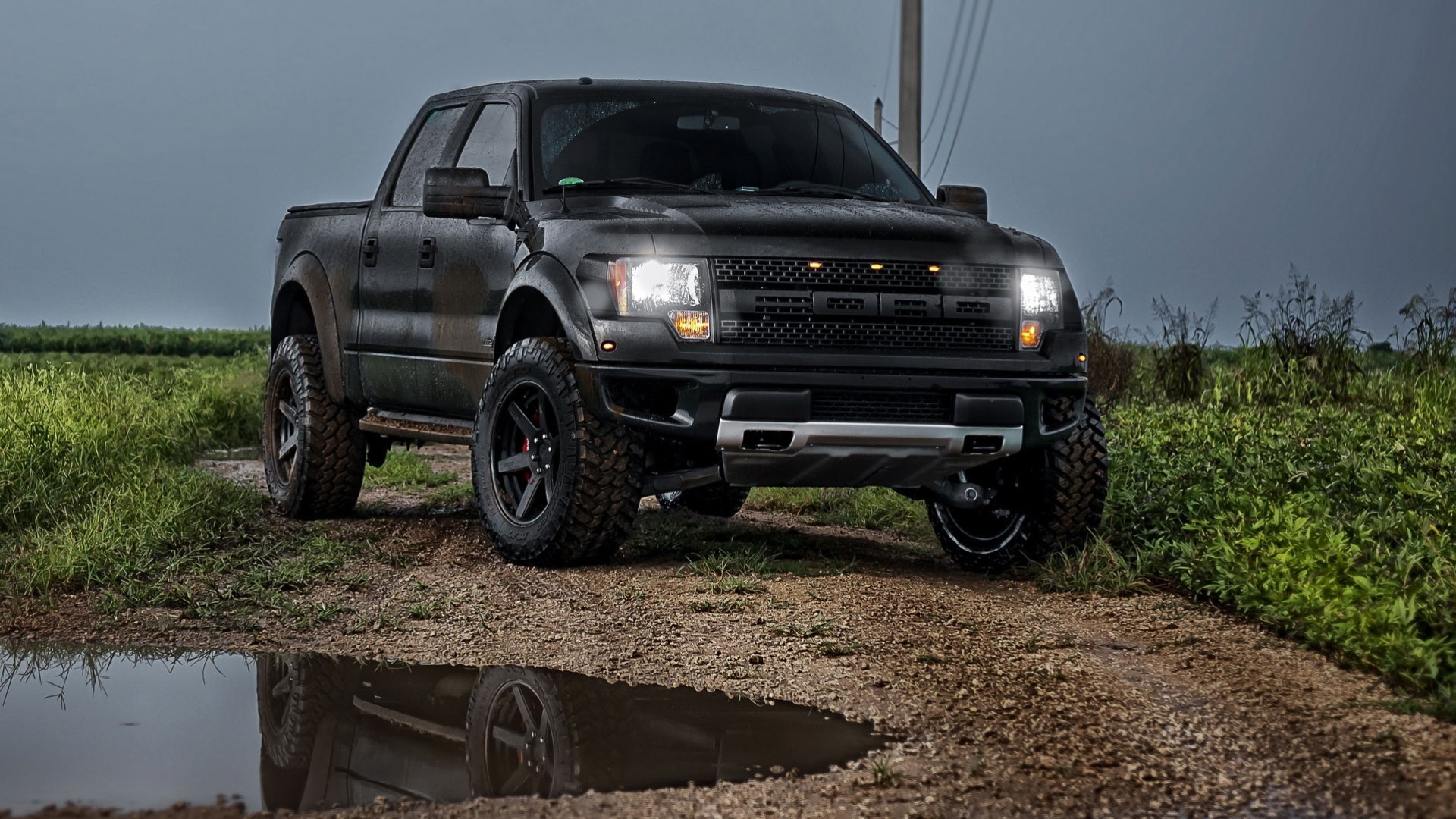 raptor ford road vehicles grass grey