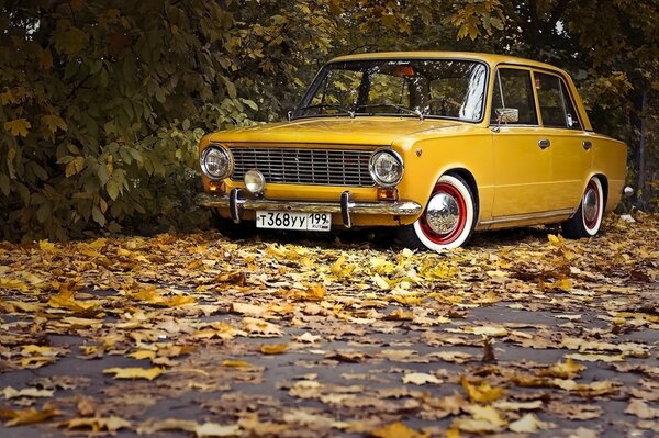 Zhiguli jaune dans les feuilles d automne