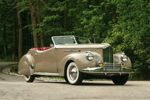 An old old convertible on a forest road