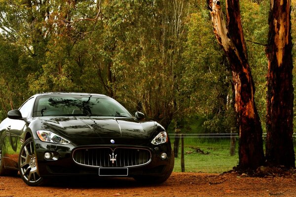 Voiture de sport noir coupé maserati granturismo sur fond de nature