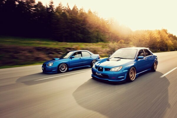 Deux Subaru bleues à la vitesse. Forêt et soleil