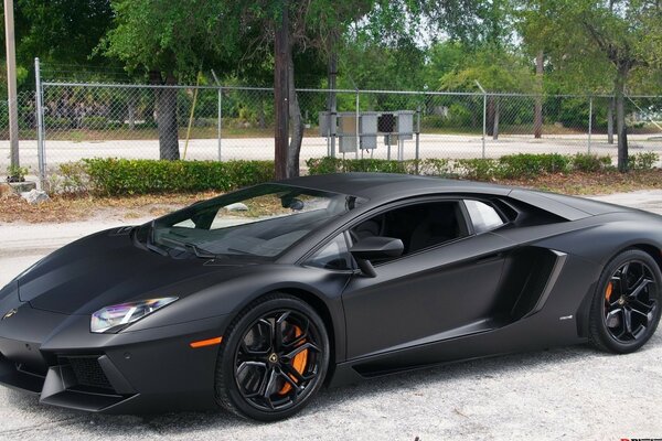 Strict Black Lamborghini style