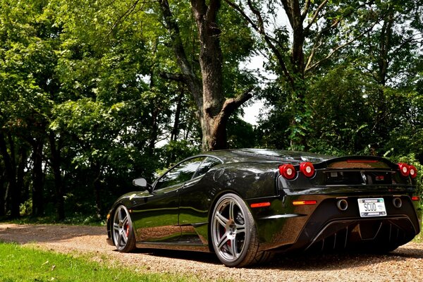 Italian sports car in the woods