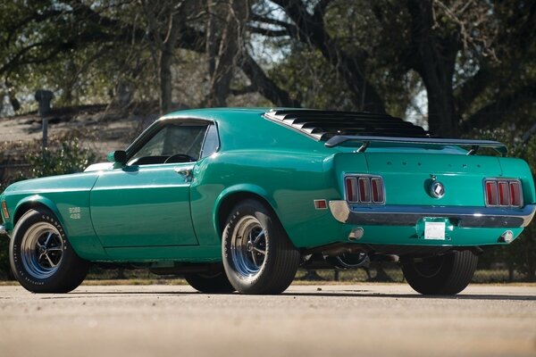 Ford Mustang car, rear view is under a tree