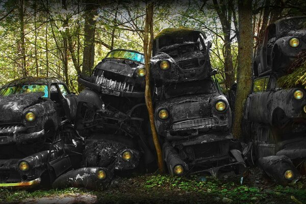 Schrottplatz alter schwarzer Autos im Wald