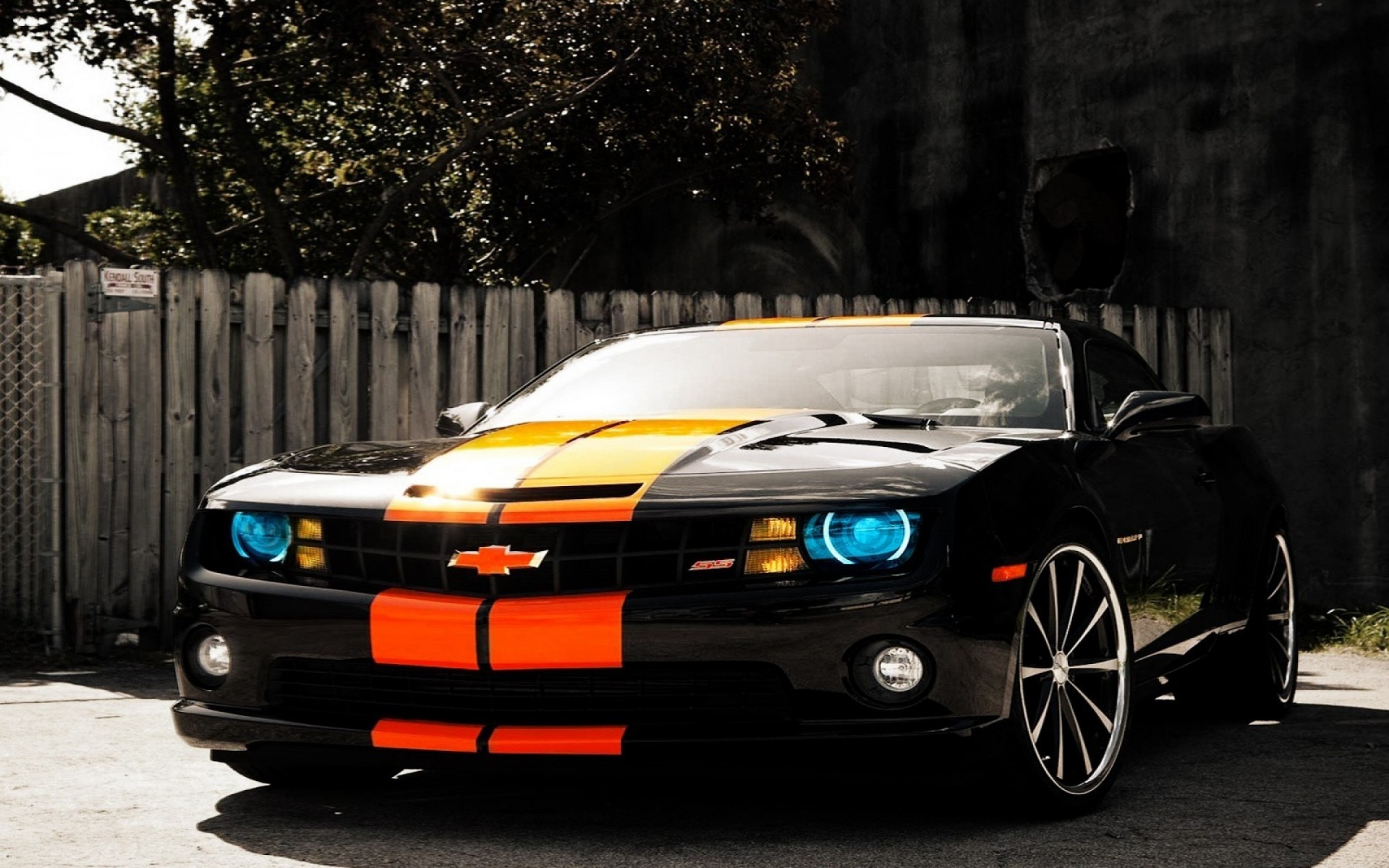 chevrolet camaro camaro noir voiture