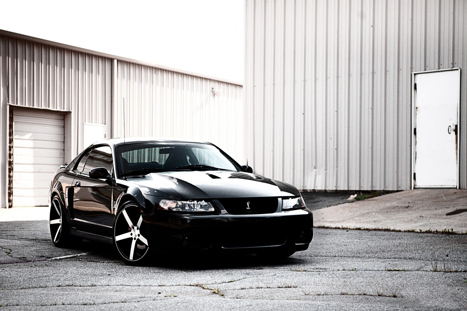 mustang voiture ford roues