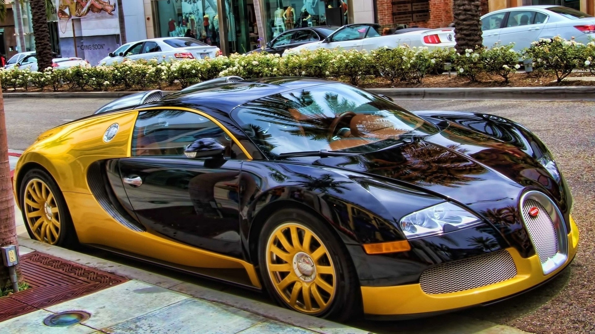 uper sport coupe bugatti bugatti veyron sports car