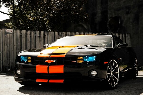 Black Chevrolet Camaro in the yard