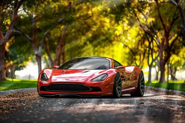 Voiture de sport rouge à l automne