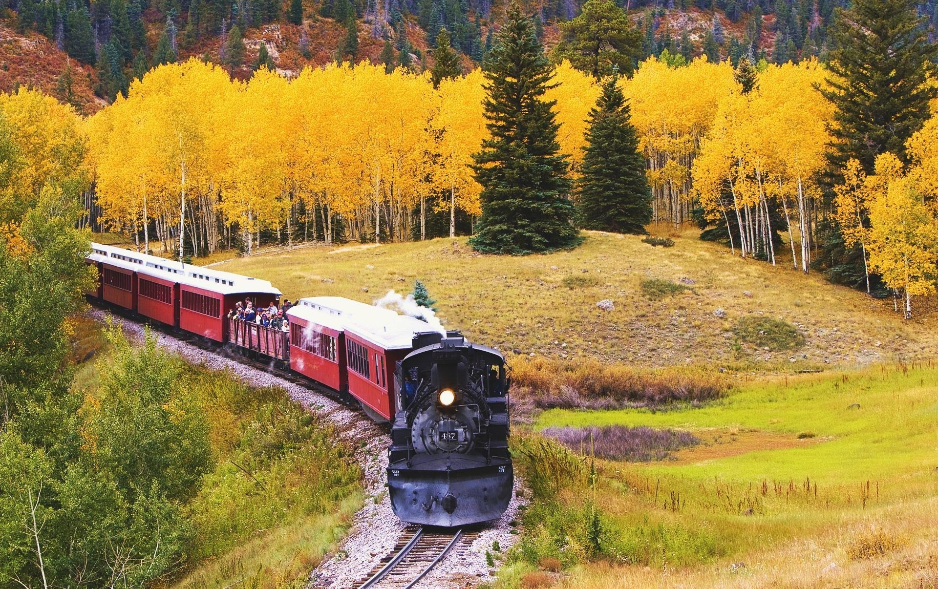 locomotiva natura treno autunno palme