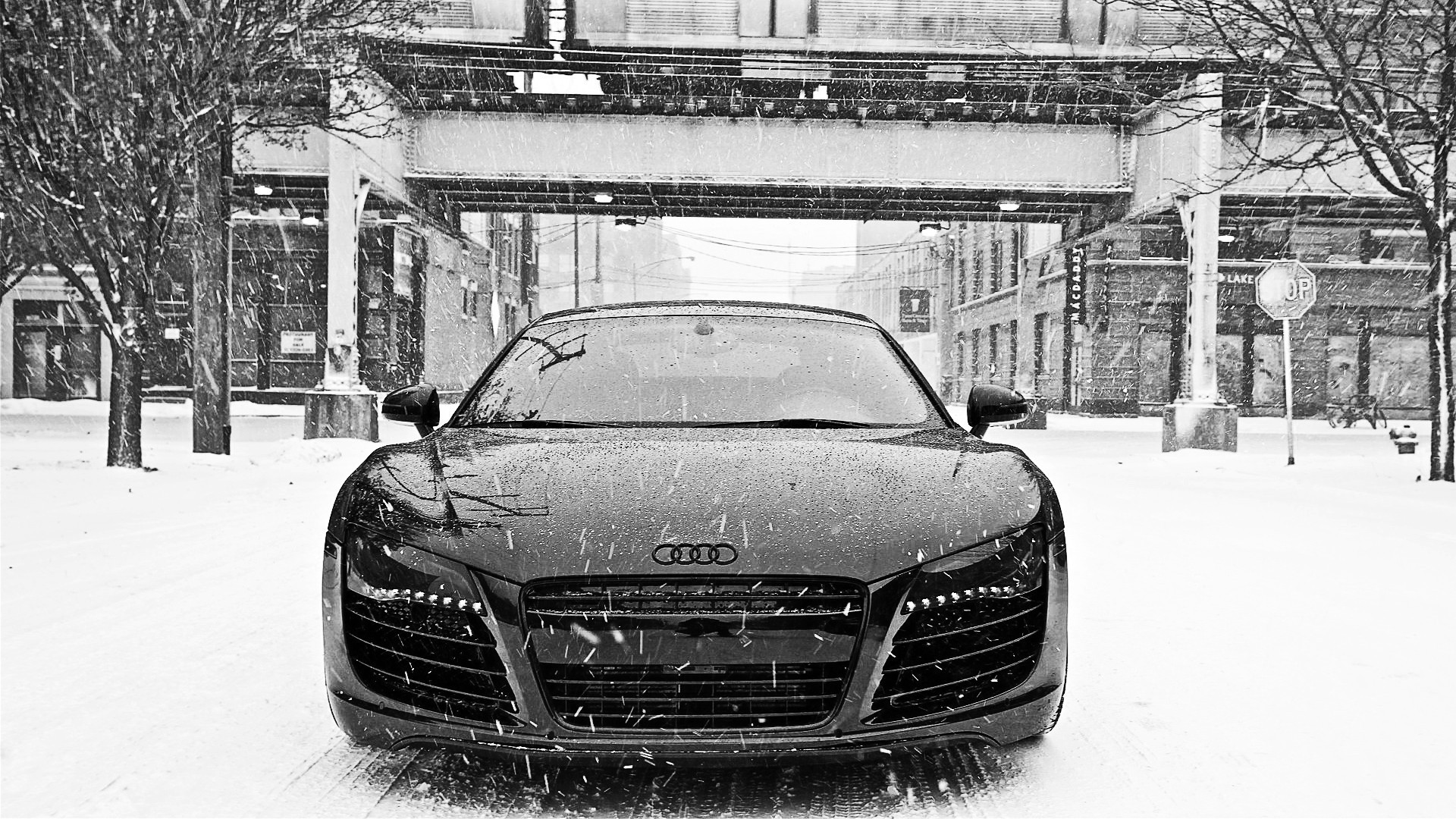 audi negro