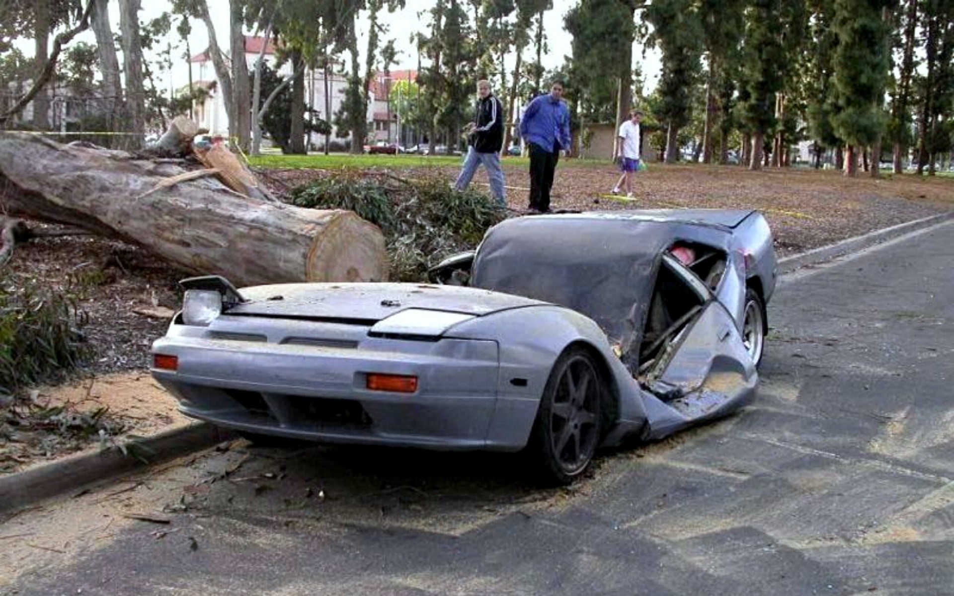 choque coches árbol