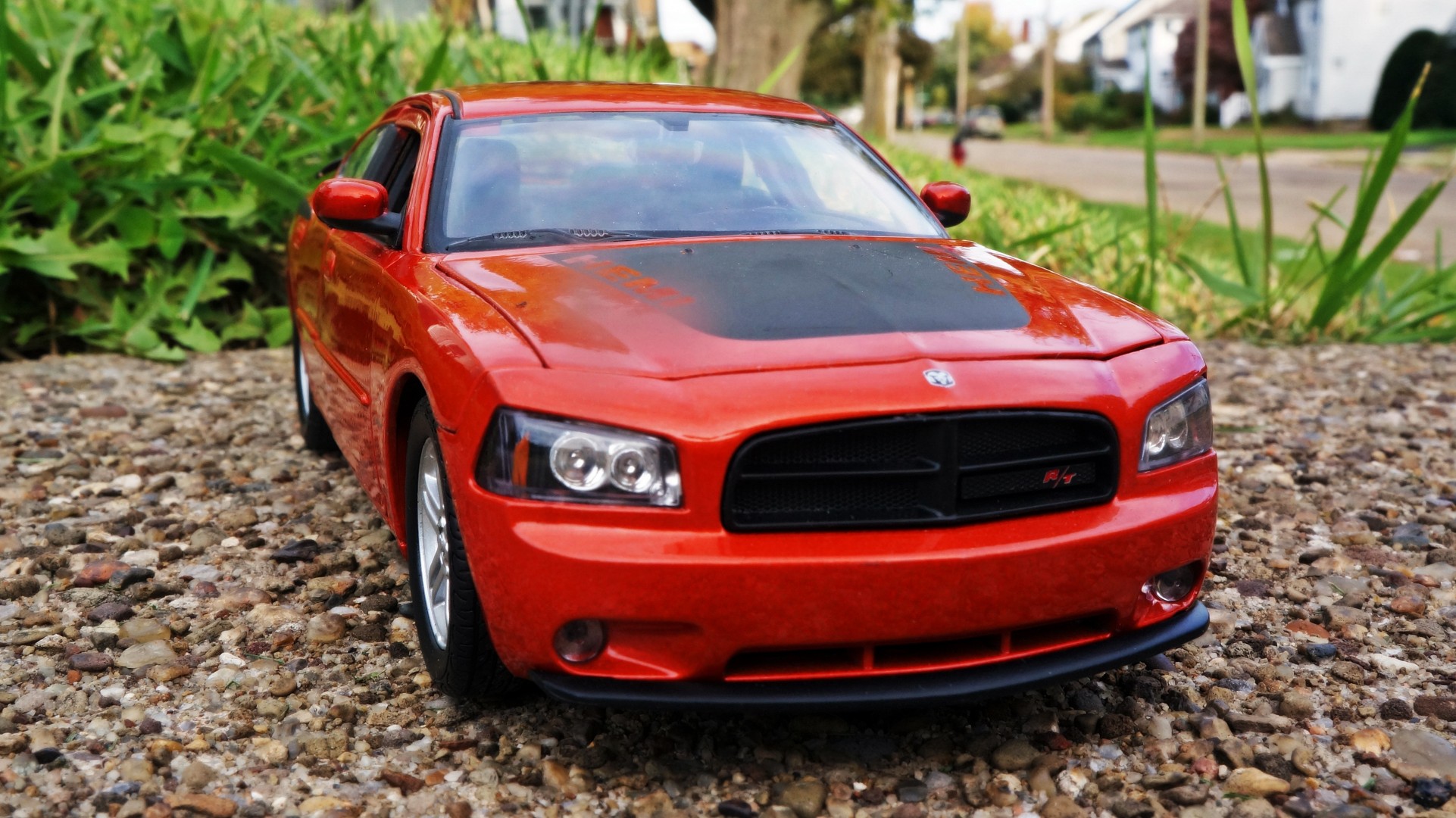 daytona dodge charger