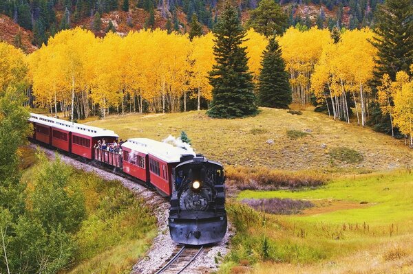 Vintage train on the background of an autumn forest