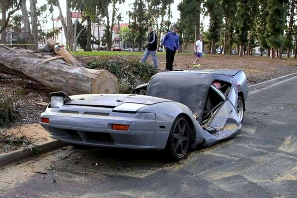 A tree fell on the car. Crash