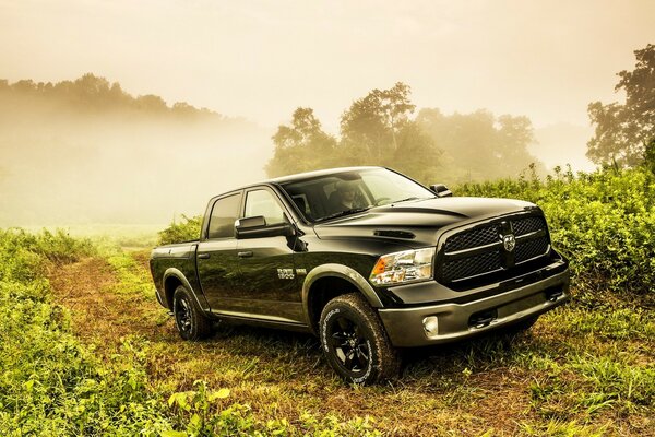 A black truck on a foggy road amid lush vegetation