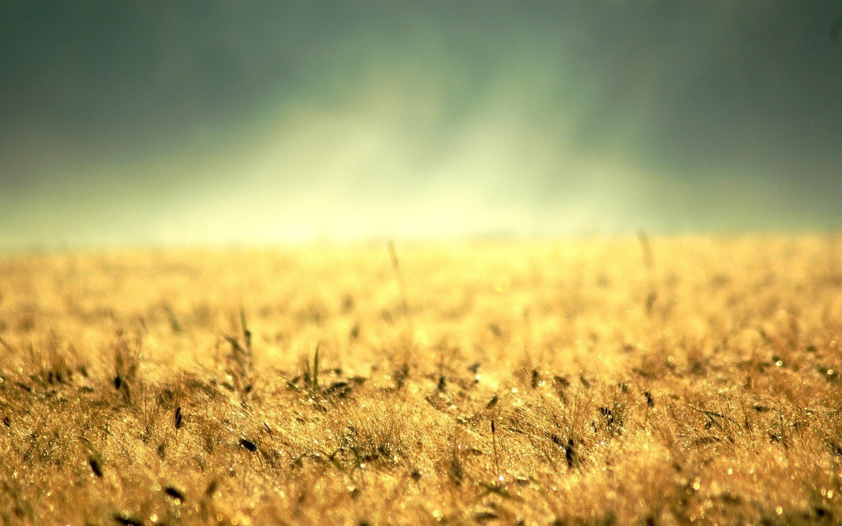 terre jaune champ alésage