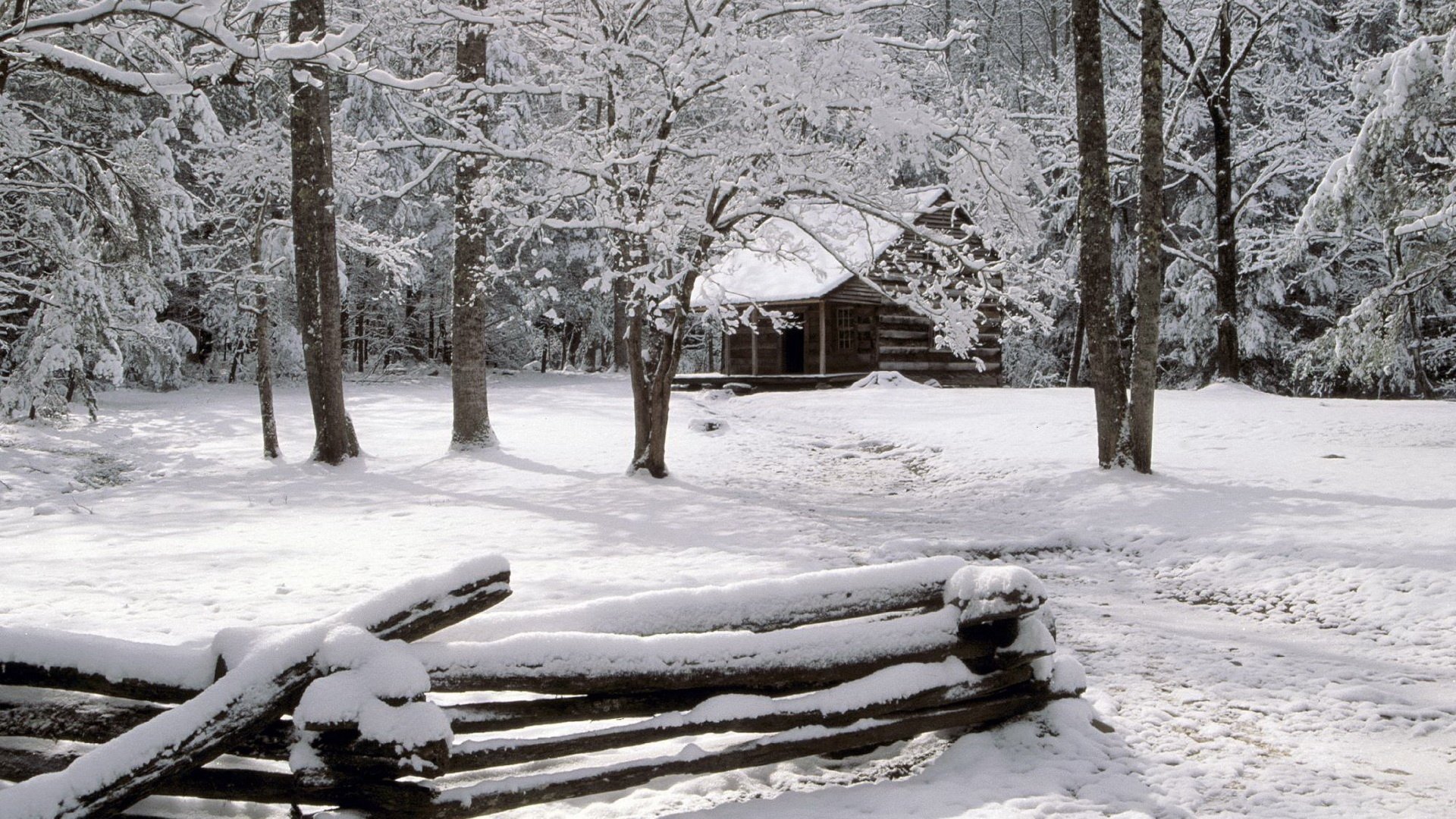 zaun försterhaus schneedecken winter wald schnee drifts protokolle