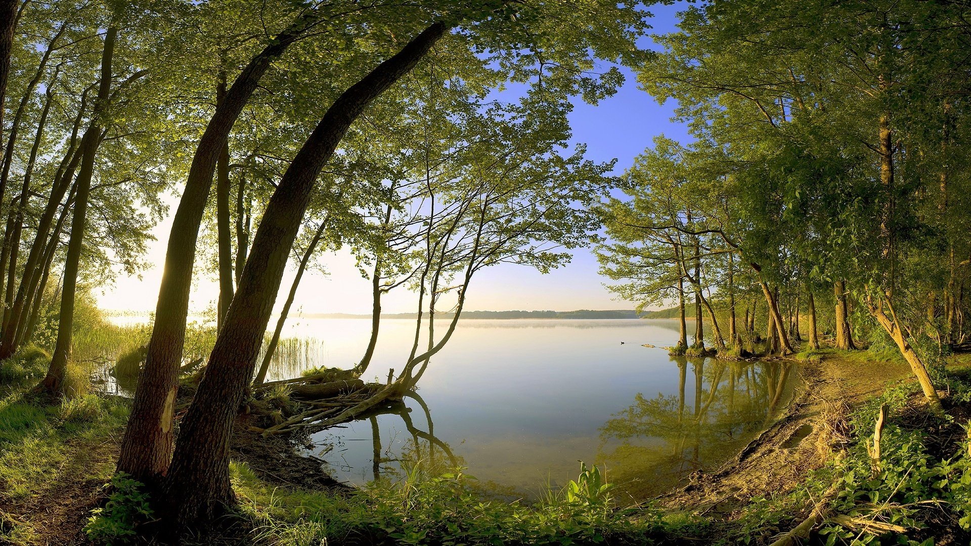 equilibrio spirituale paesaggio estivo angolo foresta acqua alba sole raggi natura paesaggio riva tranquillità silenzio