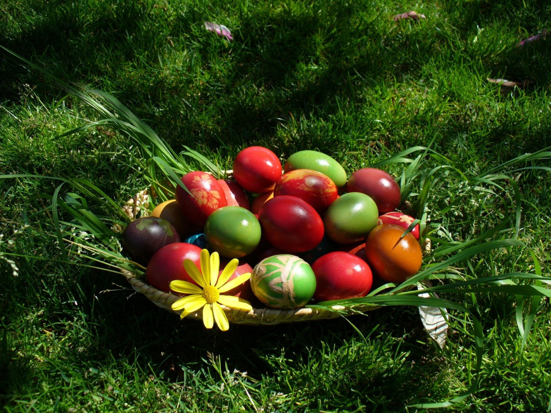 basket with eggs colorful green grass easter krashanki flower leaves grass egg