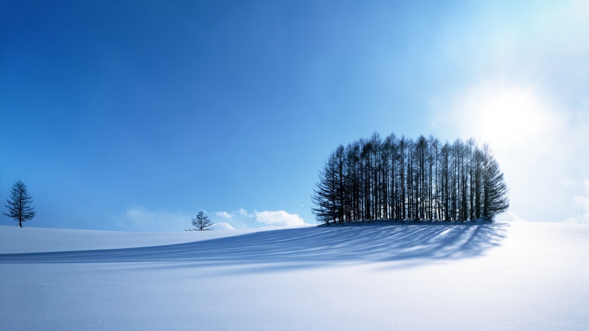 mucchio di alberi tappeto invernale palla di neve cielo inverno