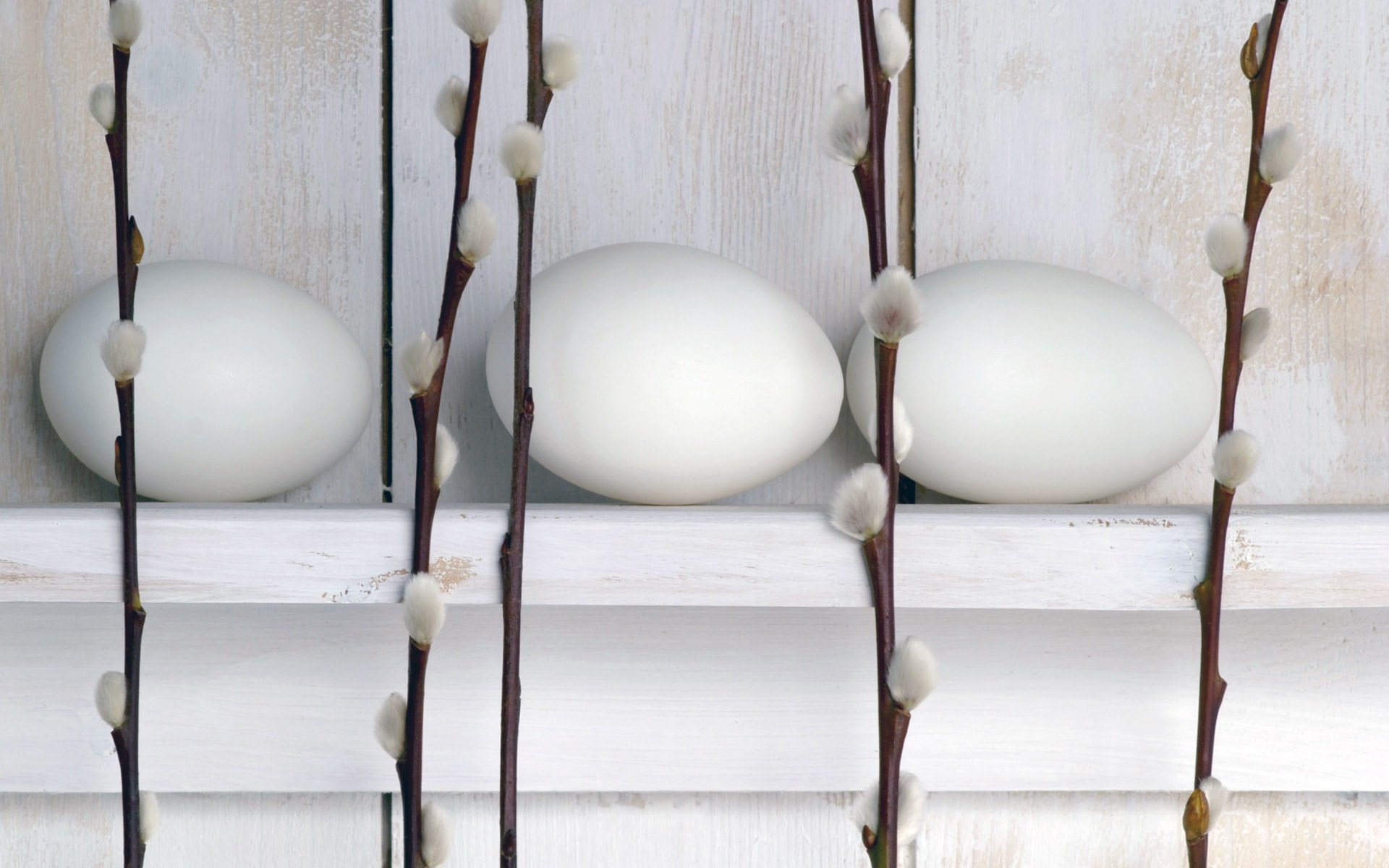 oeufs blancs saule vacances pâques dimanche des rameaux brindilles