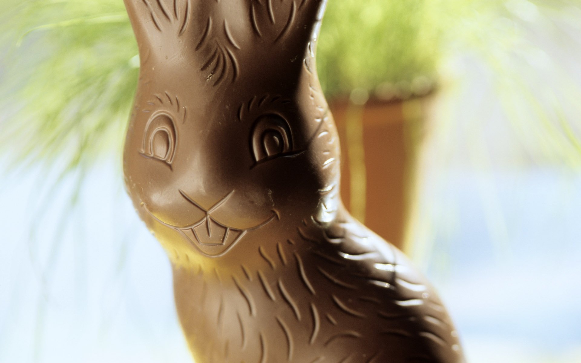 pascua conejito de chocolate sonrisa