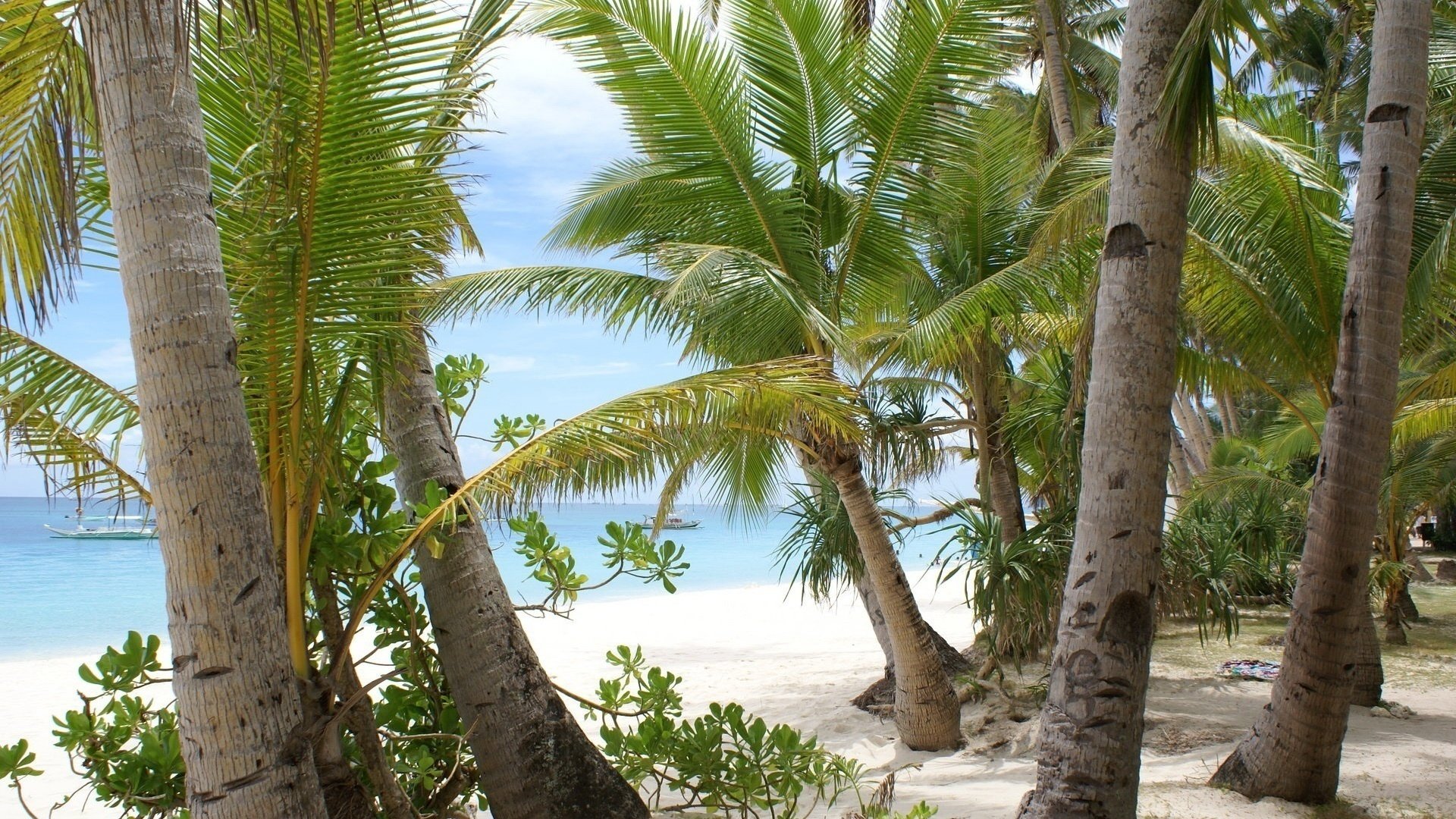 weißer sand paradies meer strand bäume palme blätter sand ufer himmel