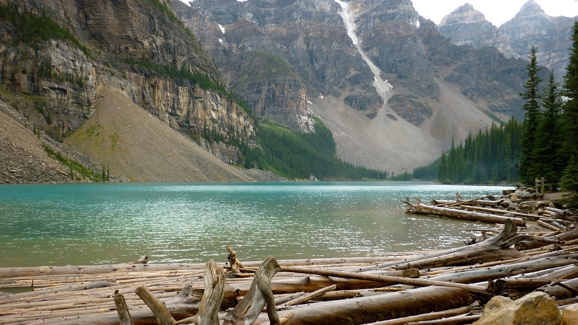 rafting sur la rivière bûches épinettes montagnes rivière eau roches nature paysage sommets eau verte paysage