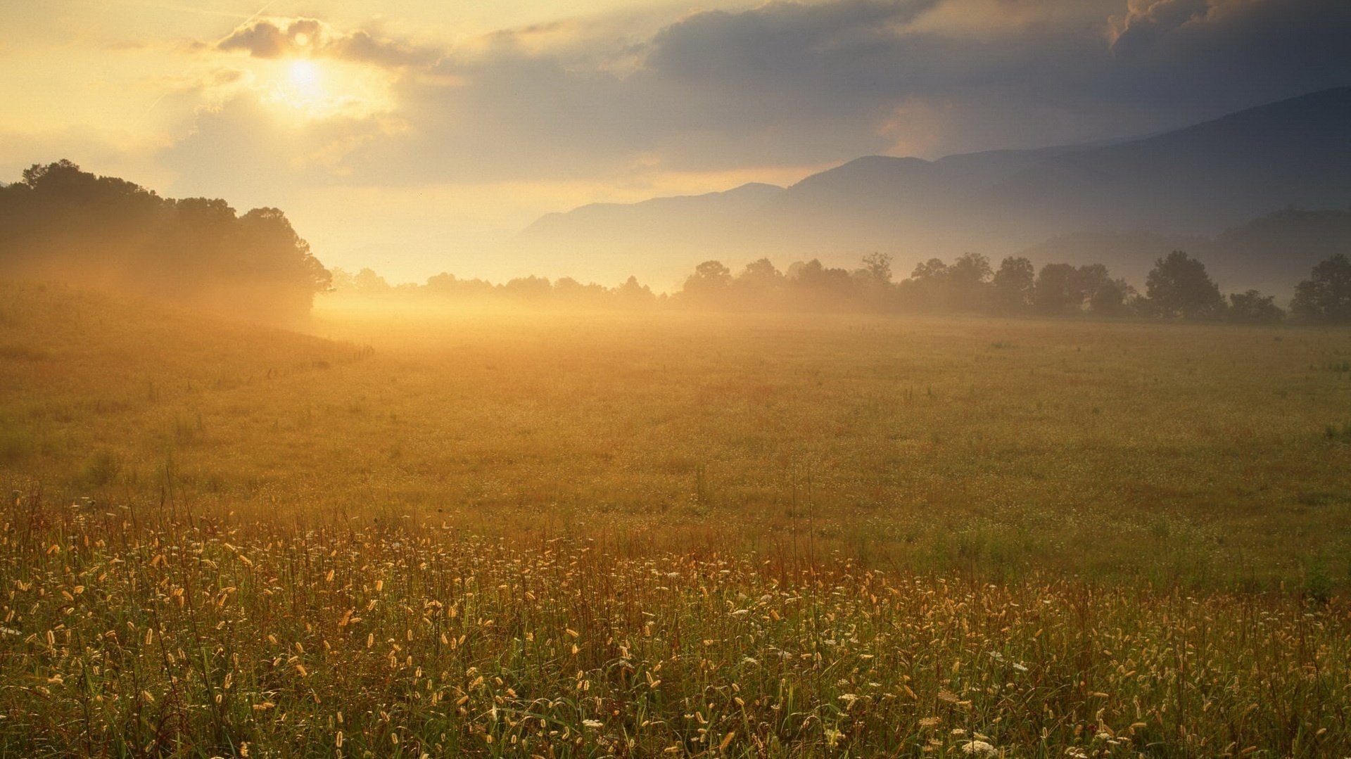 die schönheit der götter das sonnenlicht die lichtung der sonnenuntergang