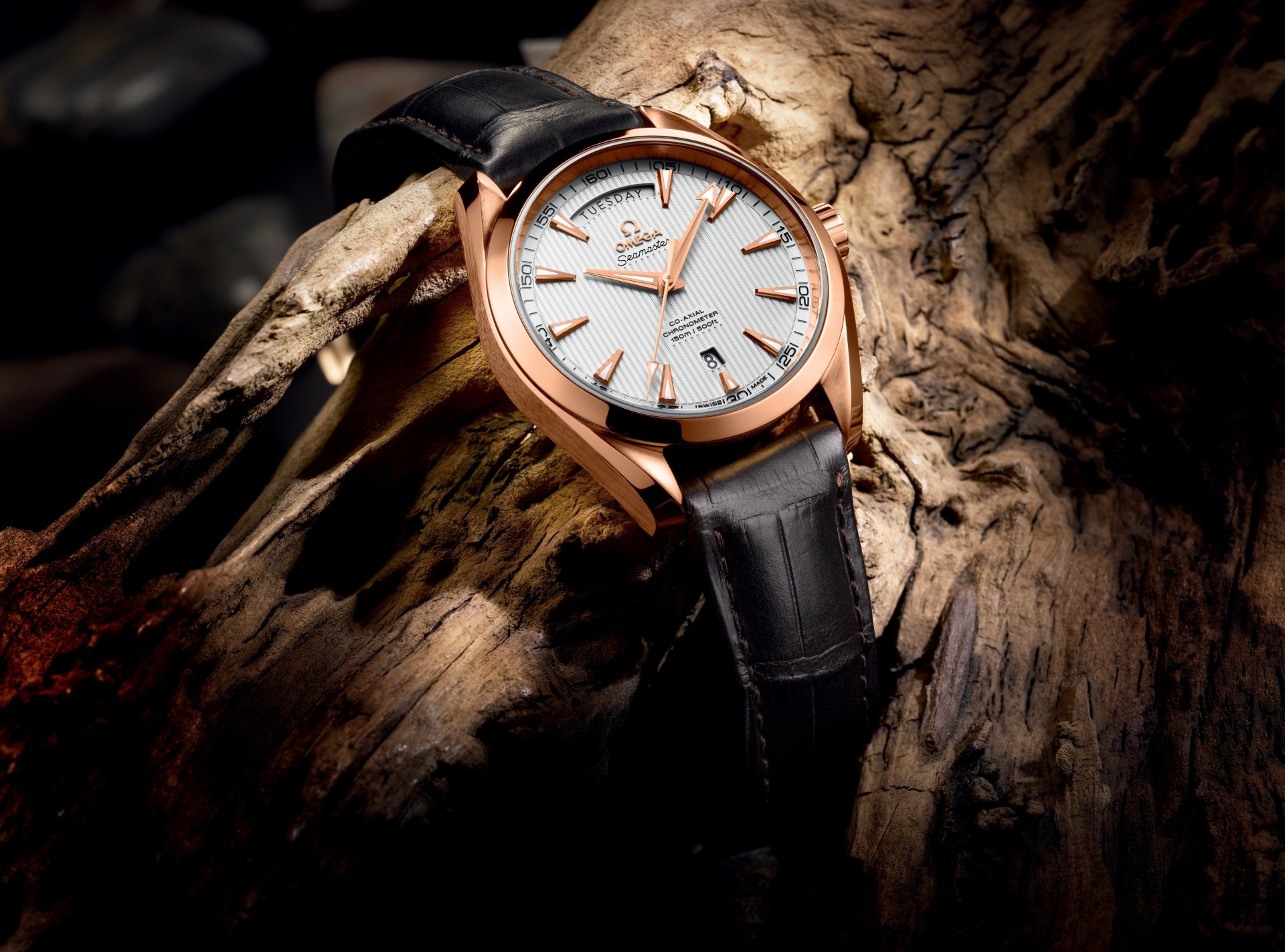 uhr omega baselworld 2013-the seamaster aqua terra day-date