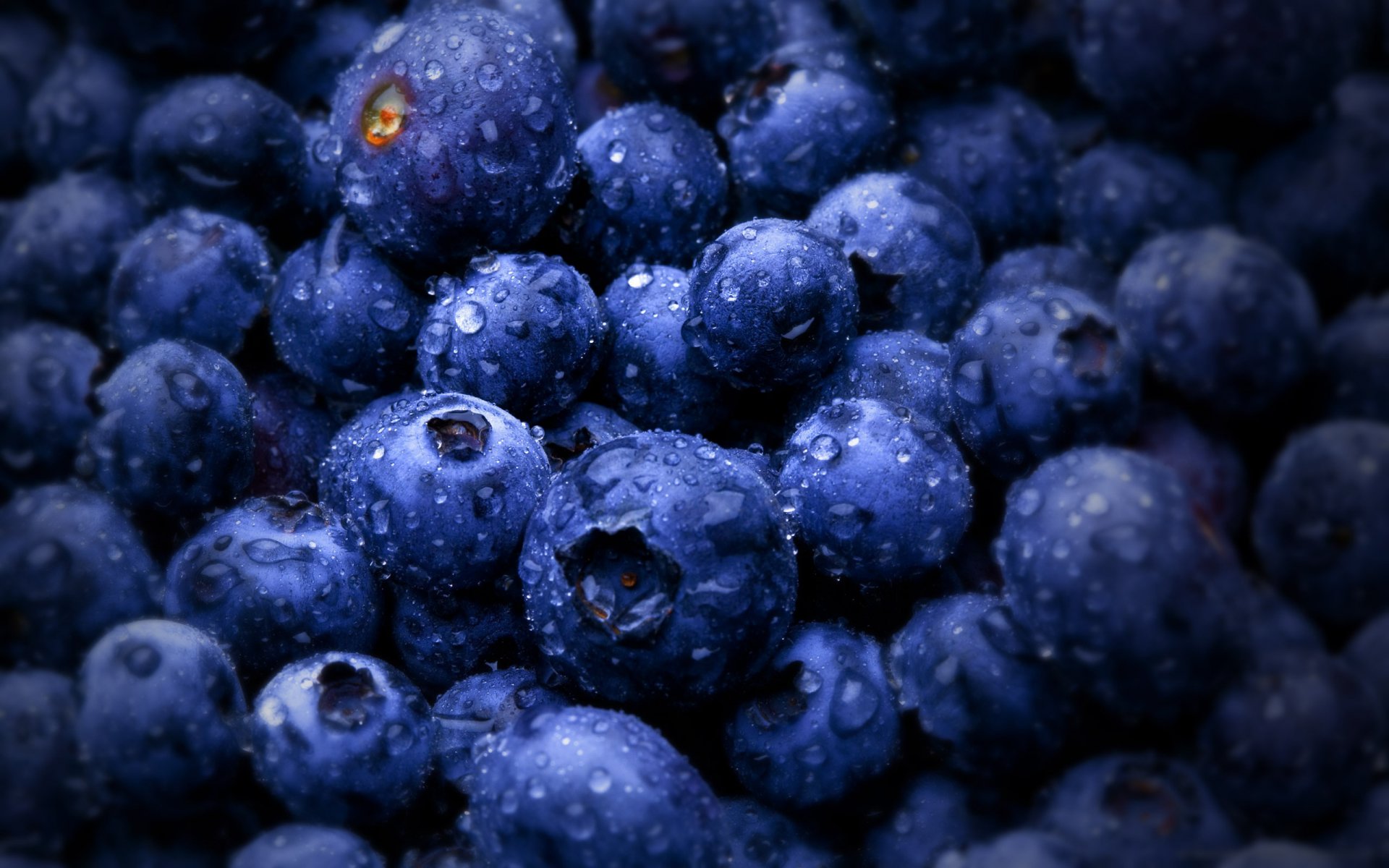 forma redonda bayas arándanos frutas