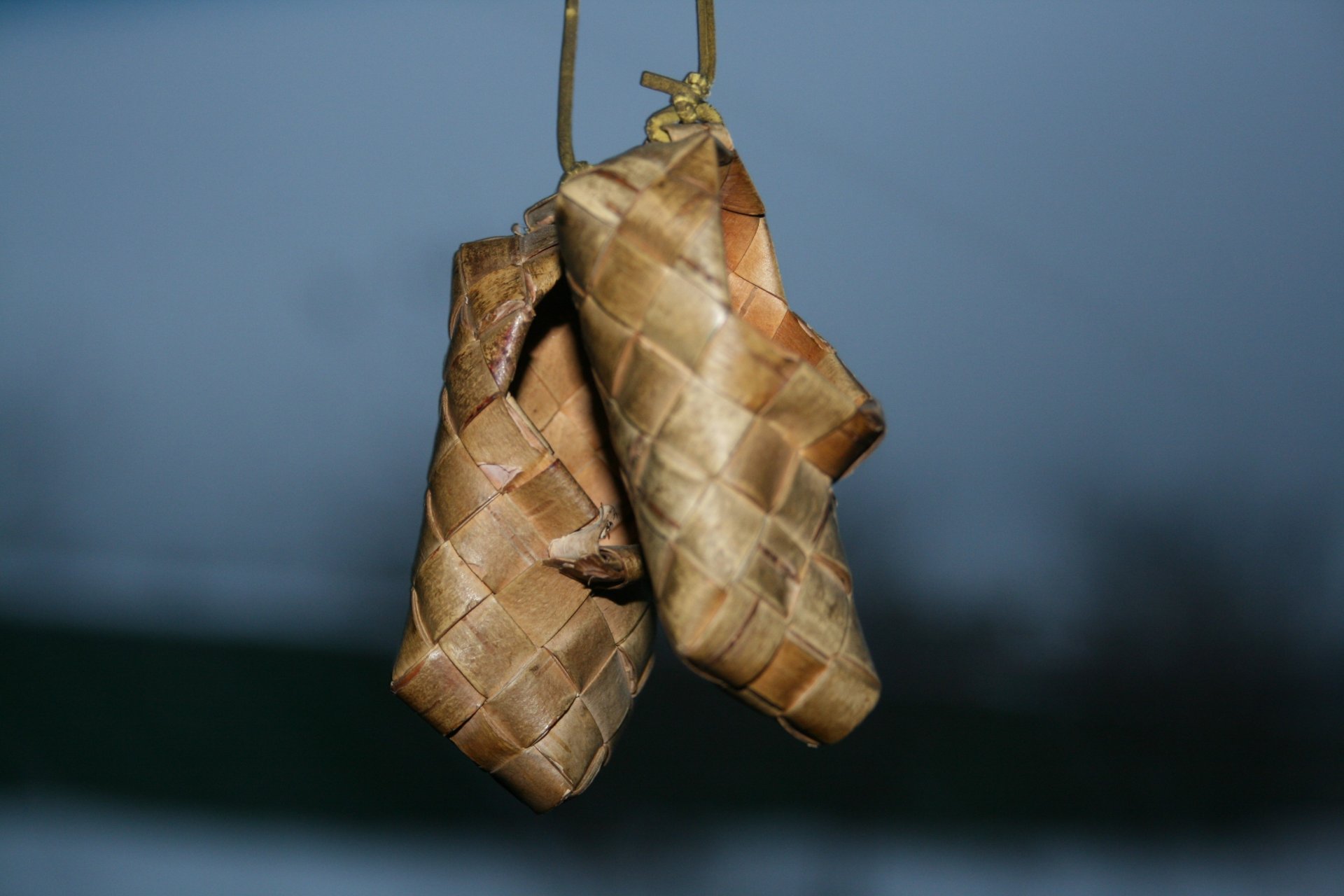 scarpe da barca russe su un garofano minimalismo sfondo scuro creativo